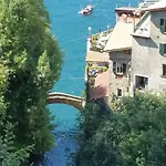 Gli Ulivi Di *