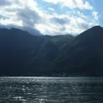 Gli Ulivi Di *