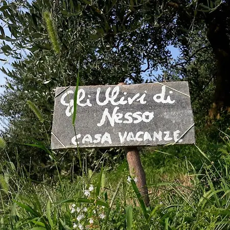 Gli Ulivi Di 別荘