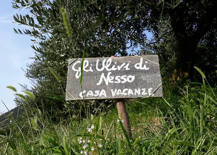 Gli Ulivi Di Tatil Evi